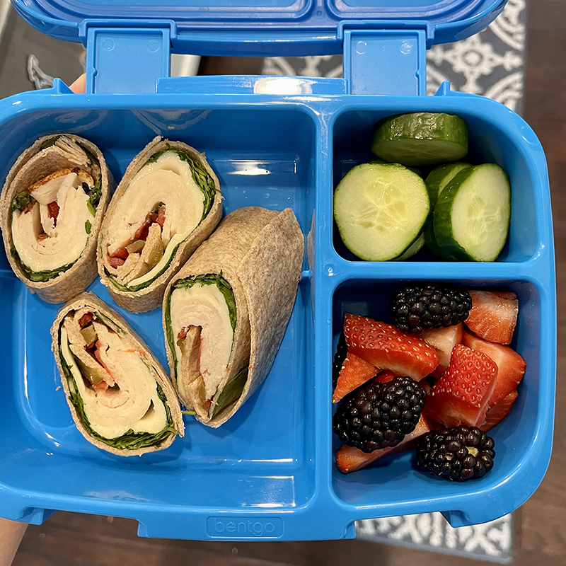 6 Lunch Box Ideas for Kids  6 Healthy Lunch Box Recipes for 6